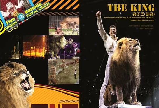 11.7中梁·龍灣首府展廳開放 百萬馬戲團門票等你(圖2)