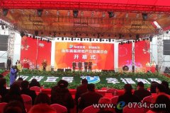 衡東首屆房交展會啟幕 26個品質(zhì)樓盤集中亮相